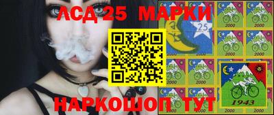 бошки Бийск