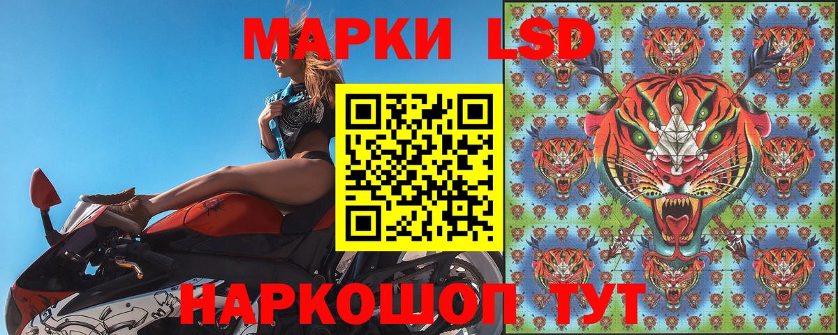 Березники  Наркотические марки  Вход с VPN  Наркотические марки 1500мкг  Наркотические марки 1500мкг 