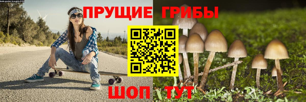 Галлюциногенные грибы Magic Shrooms Березники
