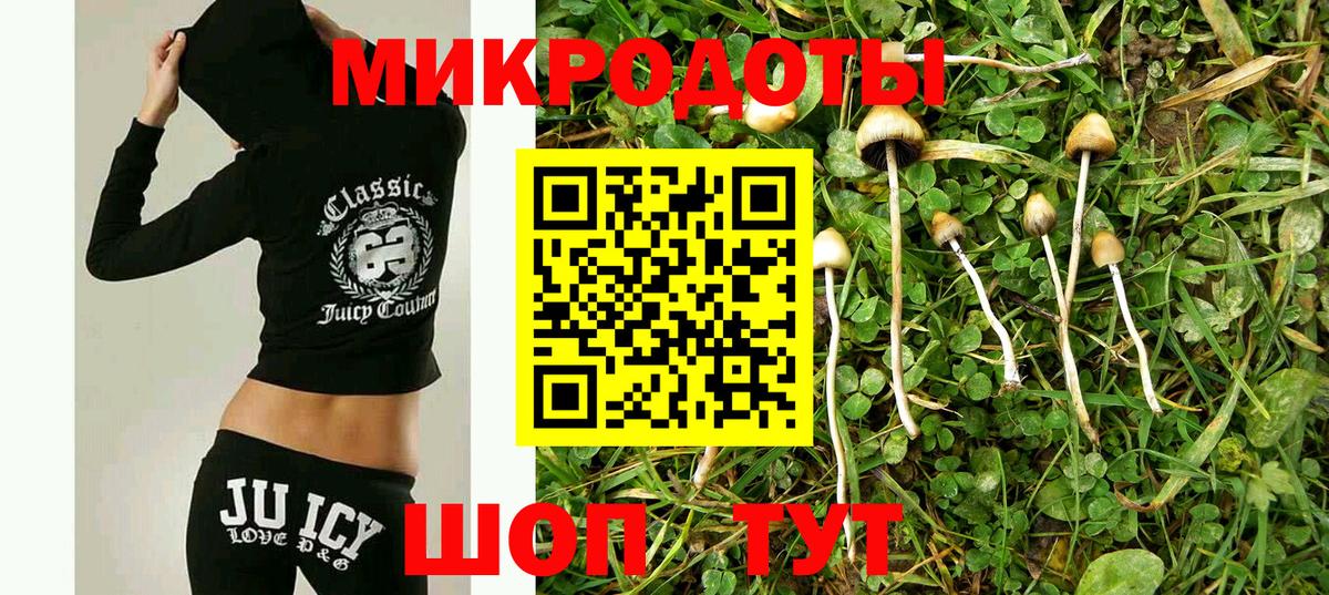 Березники  Псилоцибиновые грибы MAGIC MUSHROOMS  Вход с VPN  Псилоцибиновые грибы Psilocybe 